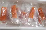 Australian Chilled Salmon Fish