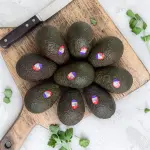 Australian Hash Avocado 3 piece